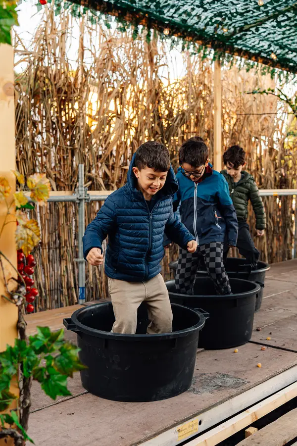 Un papà e un bambino pigiano l’uva a piedi nudi nel tino, sotto il pergolato di foglie — Parco d’Autunno 2026 al Raffo Parco Gondar di Gallipoli