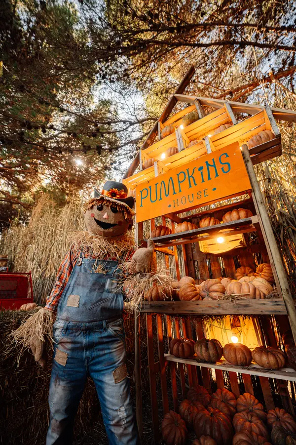 Zuccotto davanti al banco delle zucche illuminato, con l’insegna «Pumpkins» — Parco d’Autunno 2026 al Raffo Parco Gondar di Gallipoli