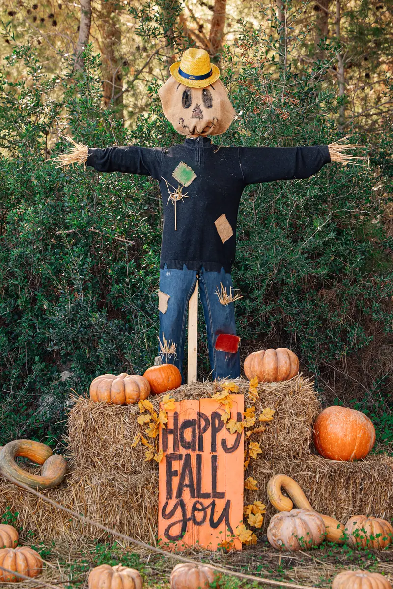 Spaventapasseri Happy Fall con zucche